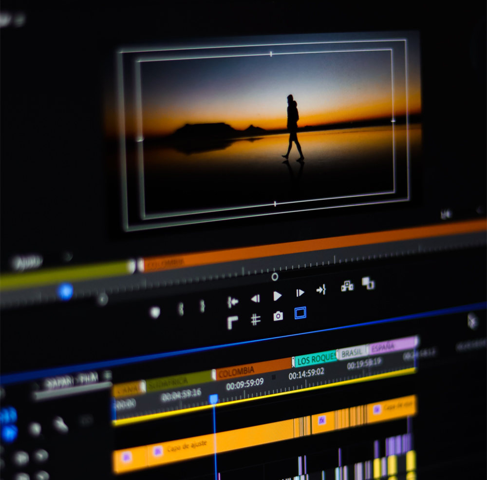 Professional DVD Services brand artwork